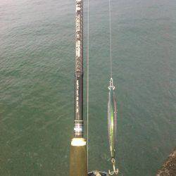 朝イチフィーッシュ❤❤❤❤